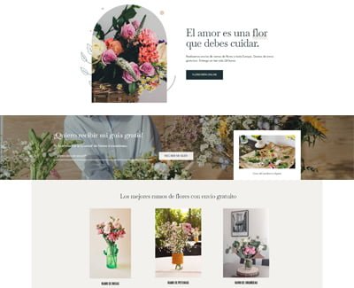 ejemplo web floristería
